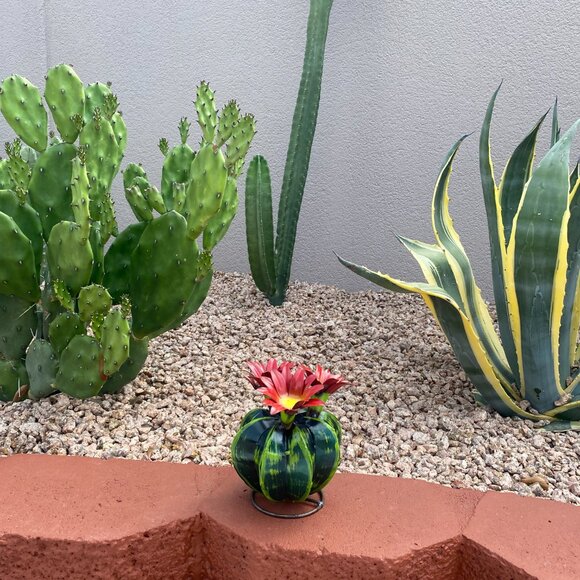 Handpainted Metal Mini Bisnaga Cactus Yard Art Garden Decor - Picture 3 of 14